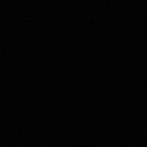 Meet your Posher, Dina